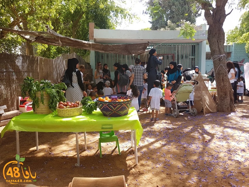 3ogod jdfan (19).jpg